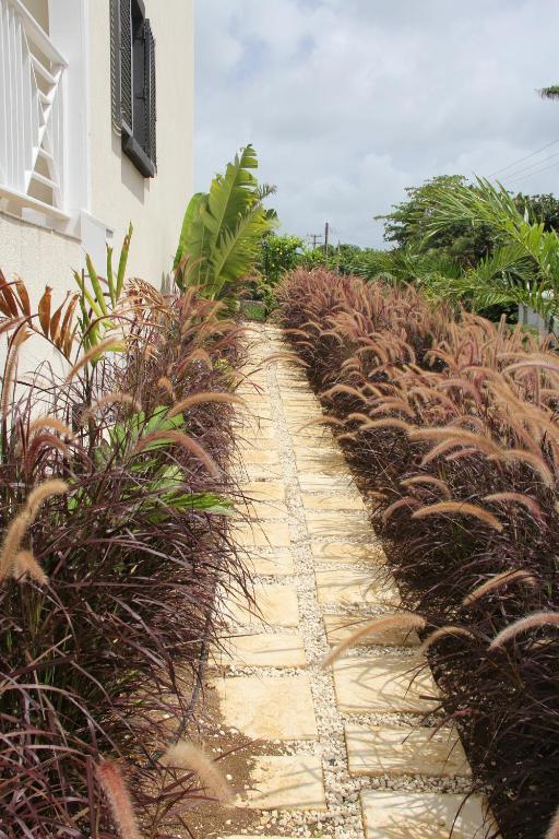 Lantana Resort Barbados By Island Villas Saint James Exterior photo